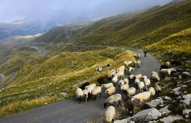 Excursão ao Lago Negro, mosteiro de Ostrog e Žabljak - Foto 5