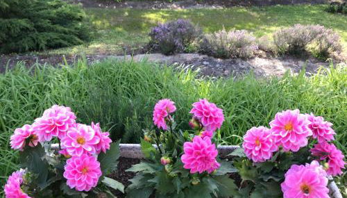 GITE PASQUIER - Foto 2