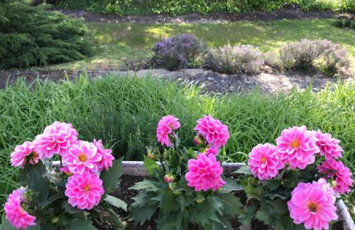 GITE PASQUIER - Foto 2