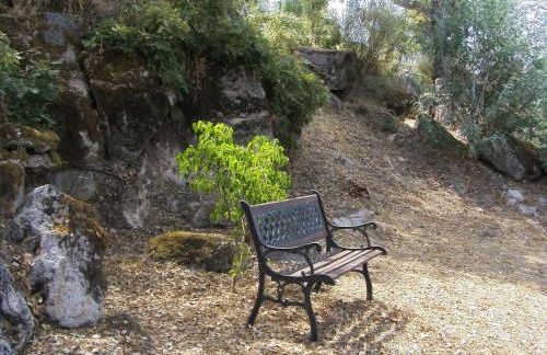 Flor da Ramila - Foto 18