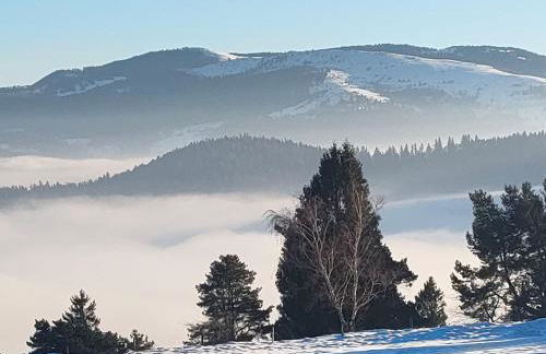 bel appartement 3 pièces dans la Résidence Vosges-Alsace Orbey - Foto 36