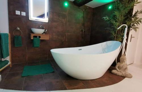 Studio équipé avec Lit rond / baignoire ilot / Table massage Aux Arcs - Foto 8