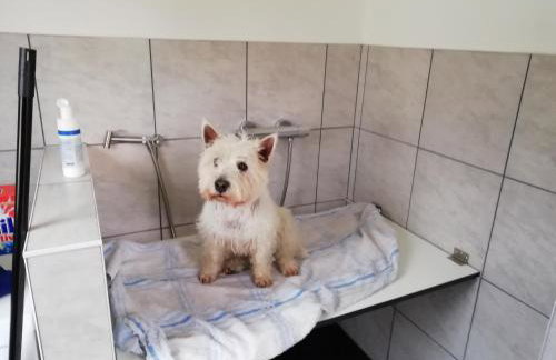 Ferienwohnung Marie - Foto 28