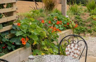 The Woodland Collection, 10 mins from beaches - Photo 35