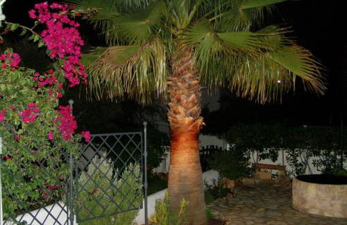 carpe Diem - Foto 20