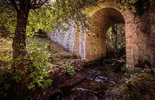 EL VIEJO MOLINO - Foto 18