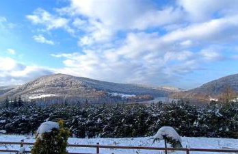 Chaty na Cholewicy Domki Całoroczne - Foto 21