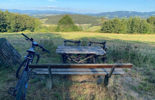 Apartmentanlage am Kellerberg - Photo 48