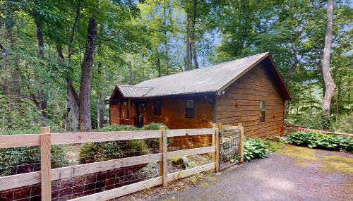 Bear Necessity Cabin - Foto 4