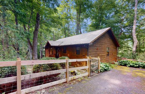 Bear Necessity Cabin - Foto 4