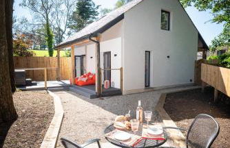 Sunnyside Studio - Foto 16