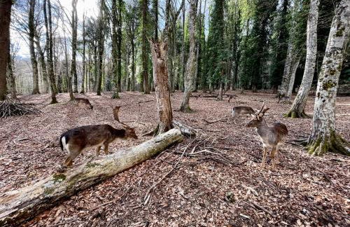 Novecento Country House - Foto 68