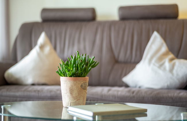 Schönblick (F 55) - Foto 6