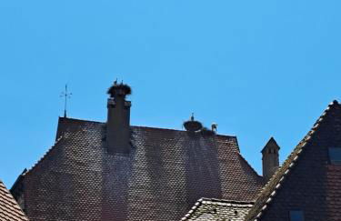 Dinkelsbühler Altstadthäuschen - Foto 7