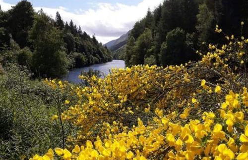 True North Lodge - A cosy wee highland Getaway - Photo 27