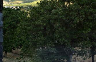 Huertas de Muro Turismo Rural - Foto 53