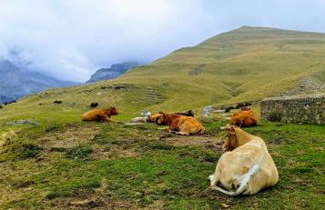 Casa Pirinea Ordesa - Foto 13