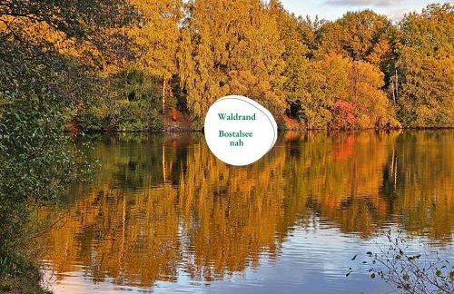Ferienwohnung Schwarzhof- Hahnekräh am Bostalsee, helle 75 qm & hundefreundlich - Photo 1