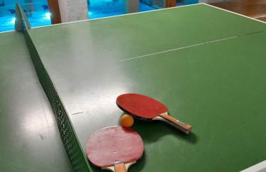 Ferienwohnung Marina in Sankt Englmar, Bayerischer Wald, familienfreundlich - Foto 8