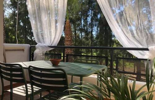 Cigüeñas - Foto 13