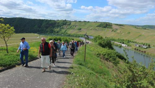 Holiday Home Weingut Mertes - Foto 4