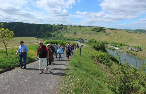 Holiday Home Weingut Mertes - Foto 4