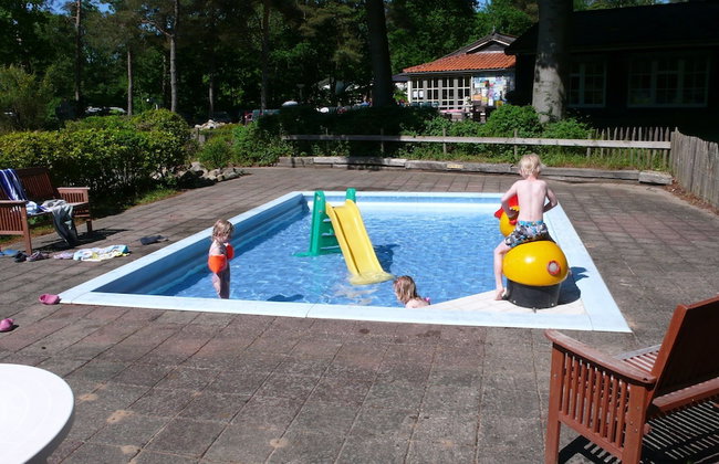 Vakantiepark De Wiltzangh - Foto 36