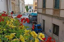 Nice House - Foto 19