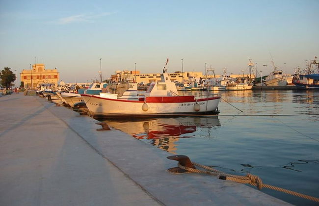 Apartamento Sergio - Foto 31