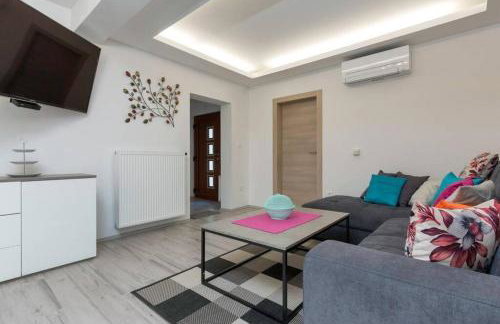 Apartman Milan - Foto 18