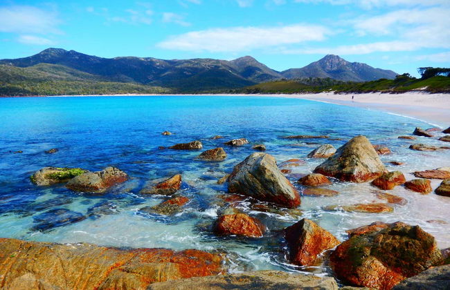 Balade en bateau dans la péninsule de Freycinet et la baie de Wineglass - Photo 6
