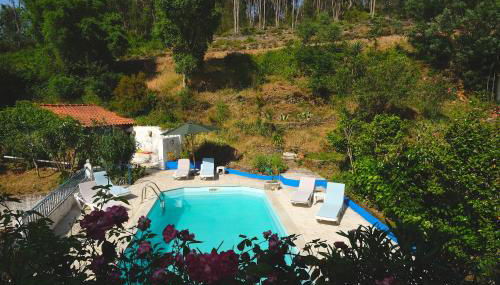 Vila da Fonte - Peaceful 3-bedroom Villa with Private Pool, Central Portugal - Foto 4, Garden, sunbed, Garden view