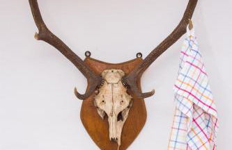 Ferienwohnungen Dr Wagner - Photo 18