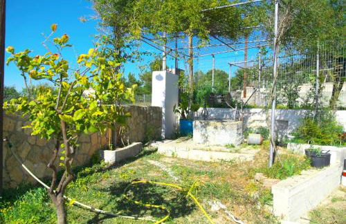 Georgia's House - Foto 48