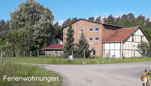 Ferien Mecklenburgische Seenplatte, Urlaub auf dem Gutshof Bossow - Foto 2
