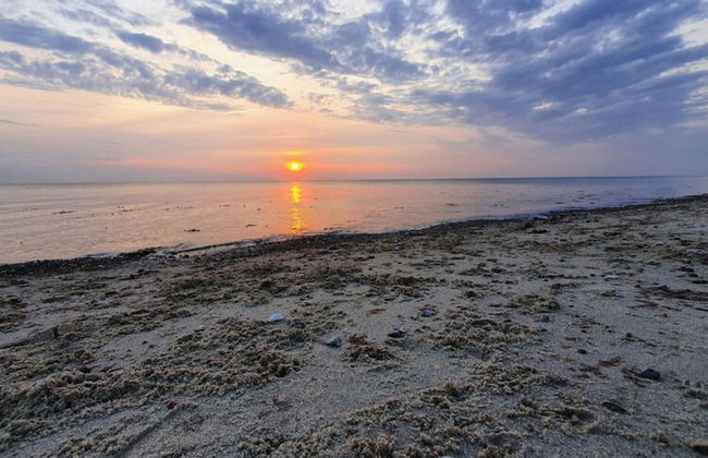 Exclusives Appartement auf Fehmarn - Foto 33