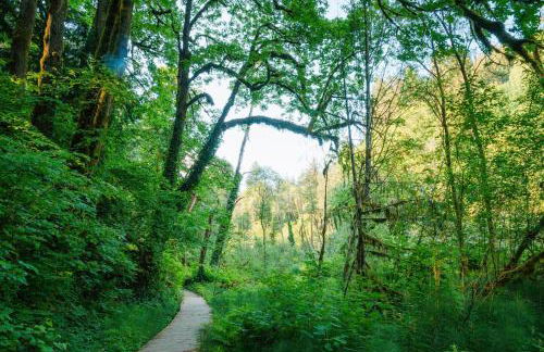 Purple City Retreats - Luxury Yurt & Spa - Foto 35