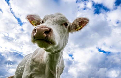 Fewo Schwarzwaldliebe, Todtnau - Foto 14