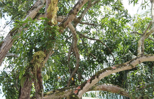 Asteria Studios - Photo 64