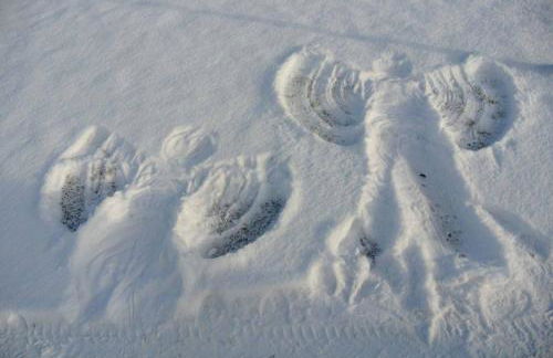 Veiter-Hof - Foto 75