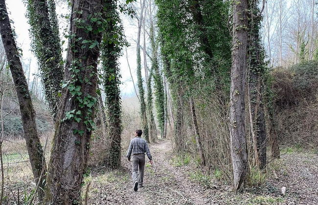 Agriturismo L'Antica Fornace - Foto 37