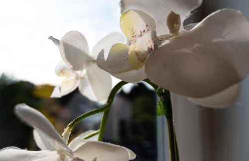 Damm Apartments - Foto 22