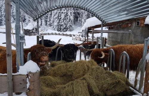 Agriturismo Feur Hof - Photo 8