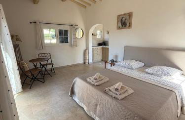 Le mazet du grand pin - Foto 8