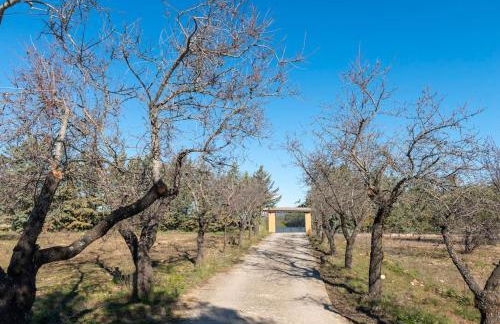 Finca el Palomar de la Viña - Foto 8
