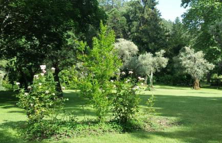 Rancho La Herradura - Photo 20