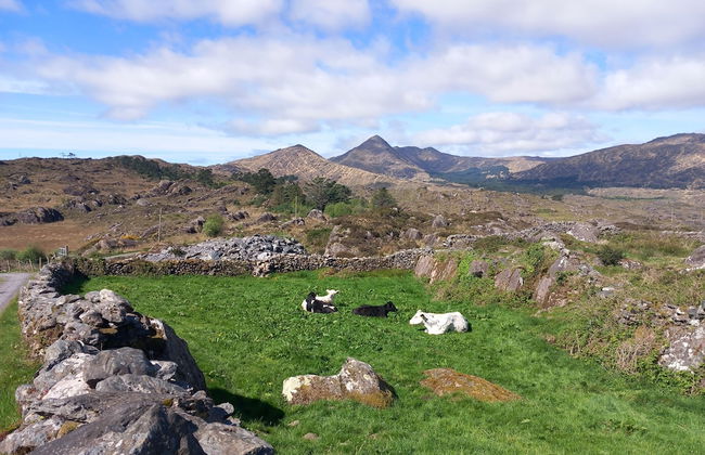 Cuckoo Tree House, Glengarriff, Beara Peninsula - Foto 35