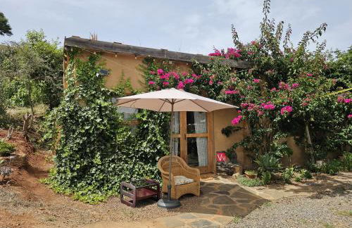 Nature Sanctuary, a semi-detached house on an ecological & sustainable farm - Foto 11