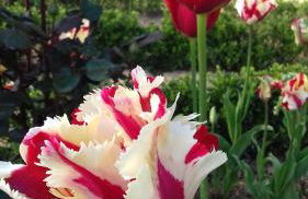 CAMPO DE SOBARBO - Guest House rural - Foto 62