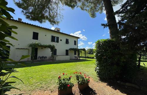 Fattoria Montignana - Foto 62
